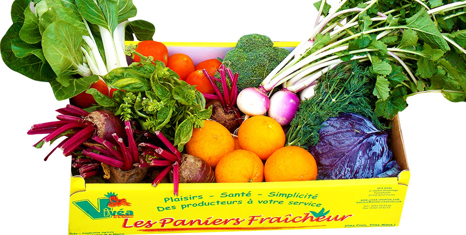 fruits-legumes-vivea-panier2