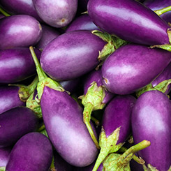 aubergine